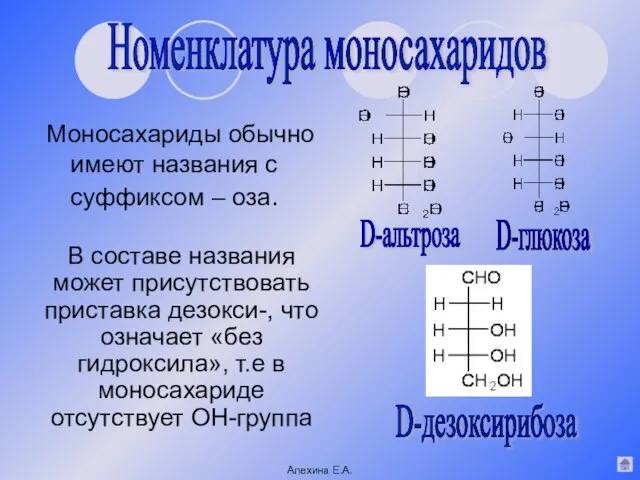 Моносахариды обычно имеют названия с суффиксом – оза. Номенклатура моносахаридов D-aльтроза D-глюкоза