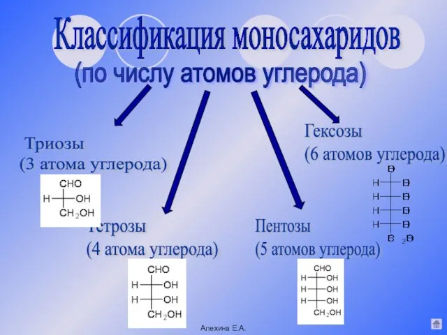 (по числу атомов углерода) Триозы (3 атома углерода) Тетрозы (4 атома углерода)