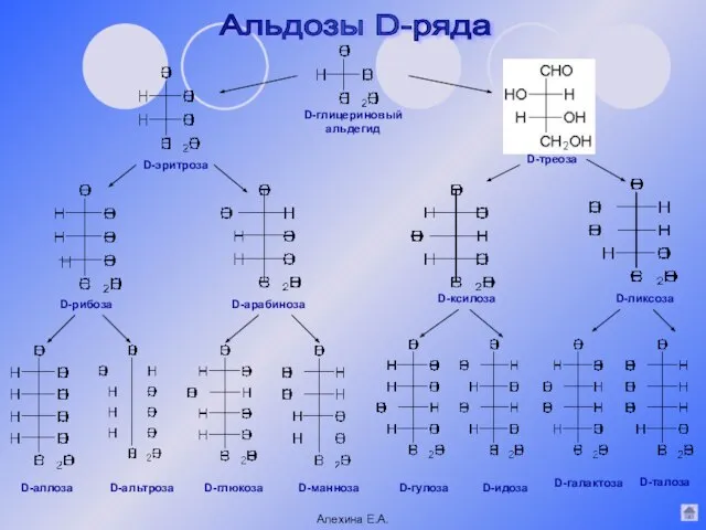 Альдозы D-ряда D-глицериновый альдегид D-эритроза D-треоза D-рибоза D-арабиноза D-ксилоза D-ликсоза D-аллоза D-альтроза