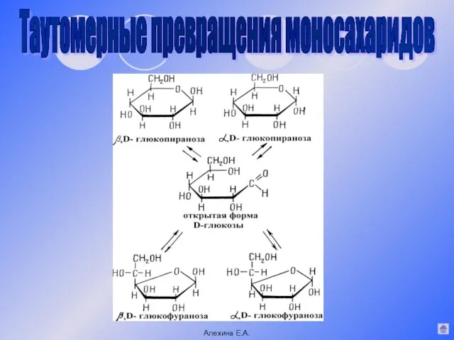 Таутомерные превращения моносахаридов Алехина Е.А.