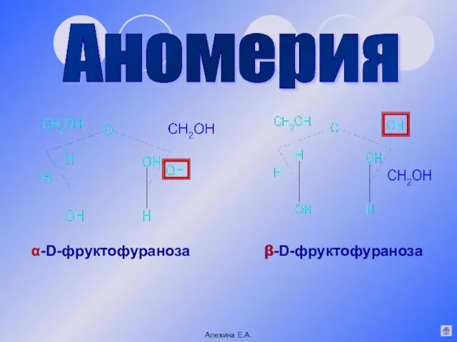 β-D-фруктофураноза α-D-фруктофураноза Аномерия Алехина Е.А. β α