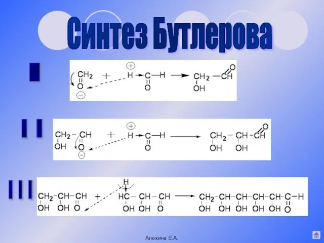 I II III Синтез Бутлерова Алехина Е.А.