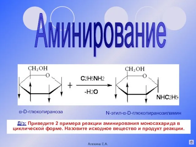 Аминирование N-этил-α-D-глюкопиранозиламин α-D-глюкопираноза Алехина Е.А. Д/з: Приведите 2 примера реакции аминирования моносахарида