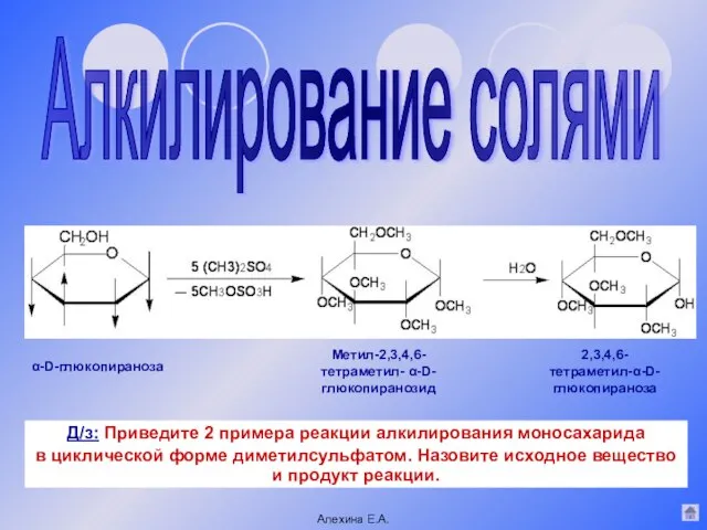 2,3,4,6- тетраметил-α-D-глюкопираноза Метил-2,3,4,6- тетраметил- α-D-глюкопиранозид Алкилирование солями α-D-глюкопираноза Алехина Е.А. Д/з: Приведите