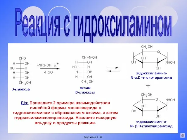 Реакция с гидроксиламином Алехина Е.А. D-глюкоза оксим D-глюкозы гидроксиламино- N-α,D-глюкопиранозид гидроксиламино- N-