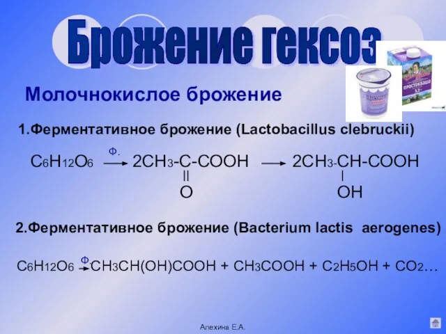 Брожение гексоз Молочнокислое брожение Ферментативное брожение (Lactobacillus clebruckii) 2.Ферментативное брожение (Bacterium lactis