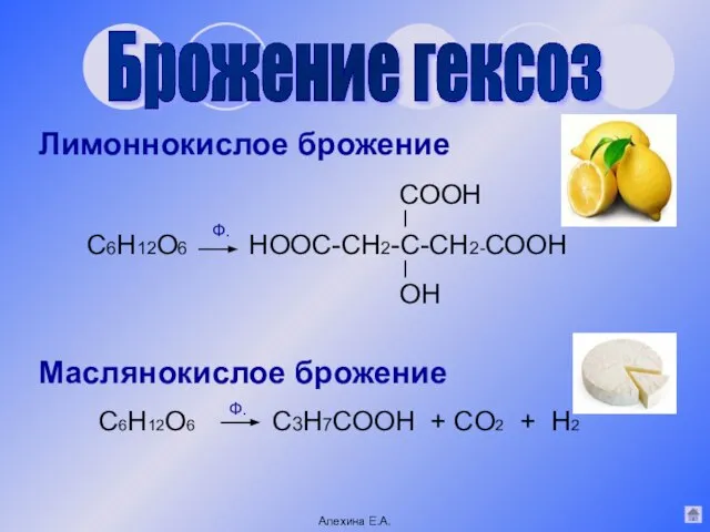Брожение гексоз Лимоннокислое брожение Маслянокислое брожение C6H12O6 С3Н7СООН + CO2 + Н2