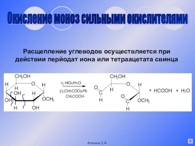 Расщепление углеводов осуществляется при действии перйодат иона или тетраацетата свинца Окисление моноз