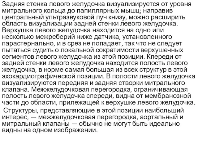 Задняя стенка левого желудочка визуализируется от уровня митрального кольца до папиллярных мышц;