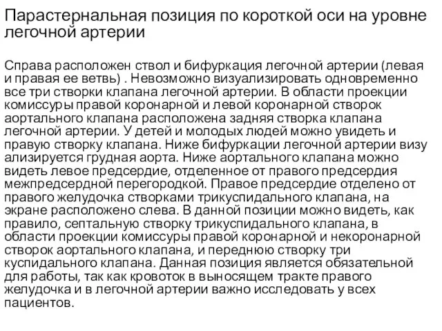 Парастернальная позиция по короткой оси на уровне легочной артерии Справа расположен ствол