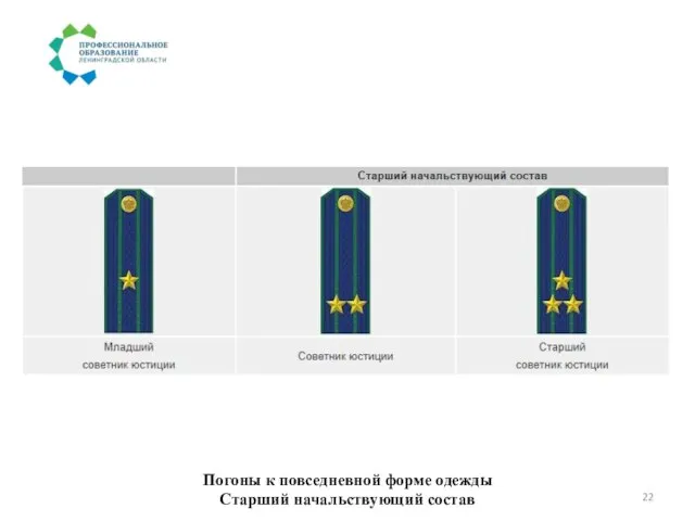 Погоны к повседневной форме одежды Старший начальствующий состав