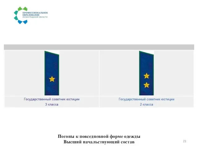 Погоны к повседневной форме одежды Высший начальствующий состав