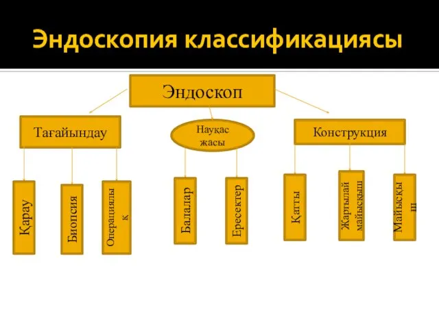 Эндоскопия классификациясы Эндоскоп Тағайындау Қарау Биопсия Операциялық Науқас жасы Балалар Ересектер Конструкция Қатты Жартылай майысқыш Майысқыш