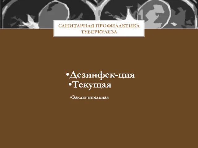 САНИТАРНАЯ ПРОФИЛАКТИКА ТУБЕРКУЛЕЗА Дезинфек-ция Текущая Заключительная