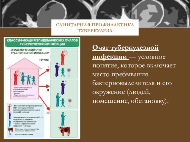 САНИТАРНАЯ ПРОФИЛАКТИКА ТУБЕРКУЛЕЗА Очаг туберкулезной инфекции — условное понятие, которое включает место