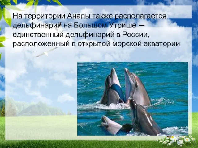 На территории Анапы также располагается дельфинарий на Большом Утрише — единственный дельфинарий