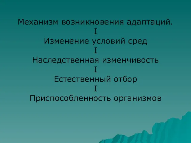 Механизм возникновения адаптаций. I Изменение условий сред I Наследственная изменчивость I Естественный отбор I Приспособленность организмов