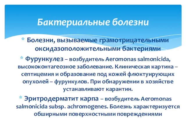 Болезни, вызываемые грамотрицательными оксидазоположительными бактериями Фурункулез – возбудитель Aeromonas salmonicida, высококонтагеозное заболевание.