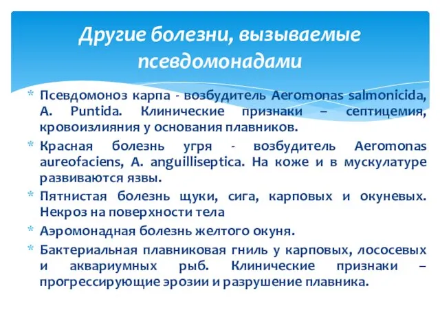 Псевдомоноз карпа - возбудитель Aeromonas salmonicida, A. Puntida. Клинические признаки – септицемия,