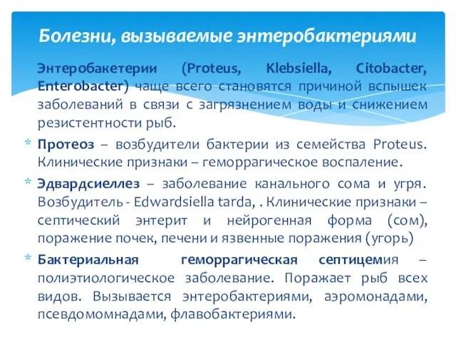 Энтеробакетерии (Proteus, Klebsiella, Citobacter, Enterobacter) чаще всего становятся причиной вспышек заболеваний в