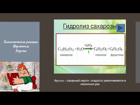 Биохимические реакции Ферменты Энзимы Фрукты + сахарный сироп= сладость увеличивается в несколько раз