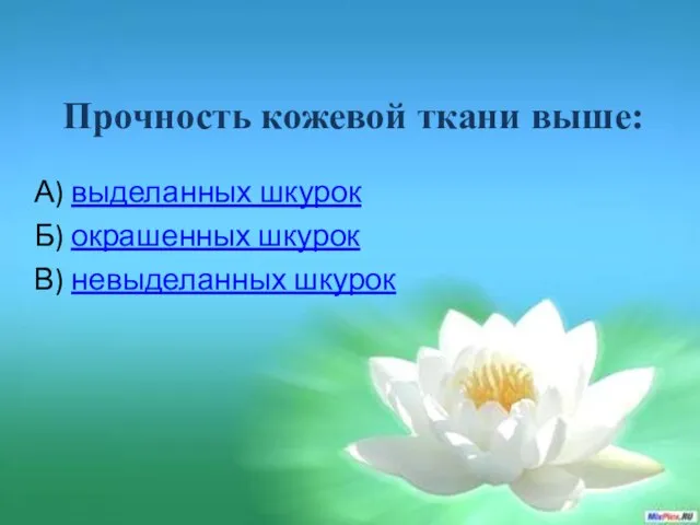 Прочность кожевой ткани выше: А) выделанных шкурок Б) окрашенных шкурок В) невыделанных шкурок