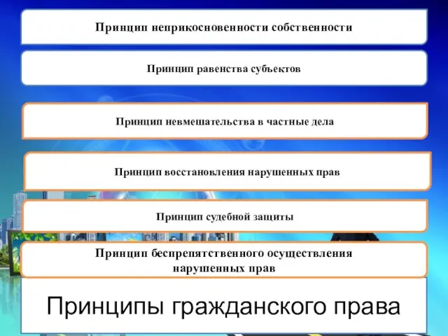 Принципы гражданского права Принцип равенства субъектов Принцип неприкосновенности собственности Принцип невмешательства в