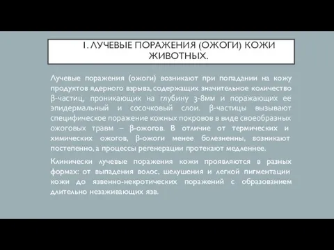 1. ЛУЧЕВЫЕ ПОРАЖЕНИЯ (ОЖОГИ) КОЖИ ЖИВОТНЫХ. Лучевые поражения (ожоги) возникают при попадании