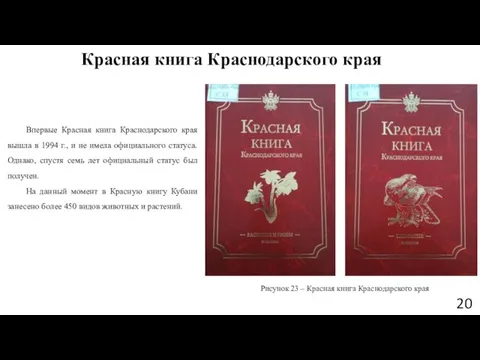 Красная книга Краснодарского края Впервые Красная книга Краснодарского края вышла в 1994