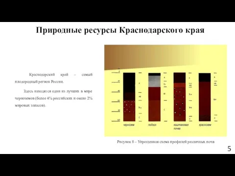 Природные ресурсы Краснодарского края Краснодарский край – самый плодородный регион России. Здесь