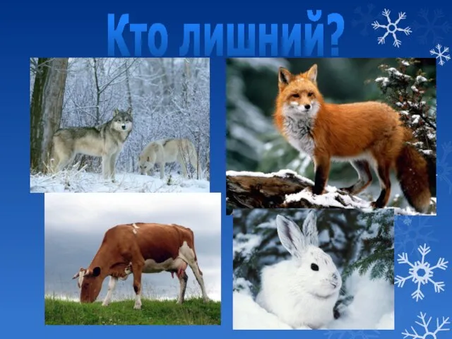 Кто лишний?