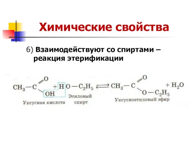 Химические свойства 6) Взаимодействуют со спиртами –реакция этерификации