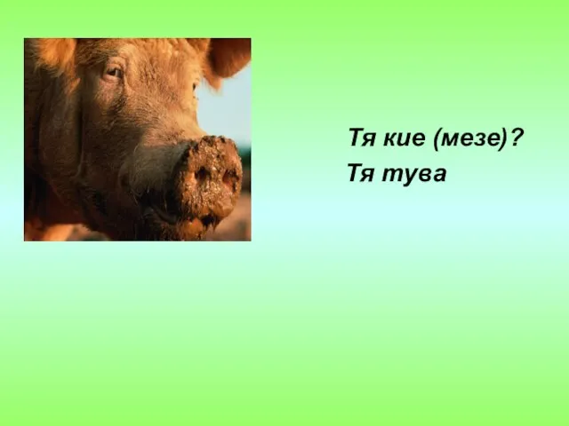 Тя кие (мезе)? Тя тува