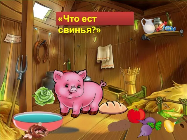 «Что ест свинья?»