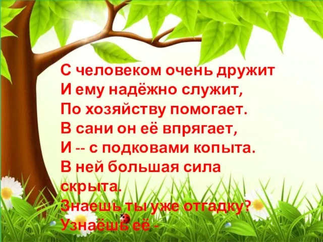 С человеком очень дружит И ему надёжно служит, По хозяйству помогает. В