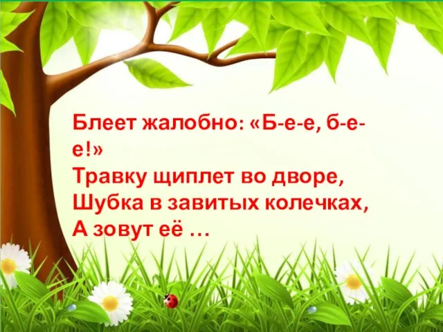 Блеет жалобно: «Б-е-е, б-е-е!» Травку щиплет во дворе, Шубка в завитых колечках, А зовут её …