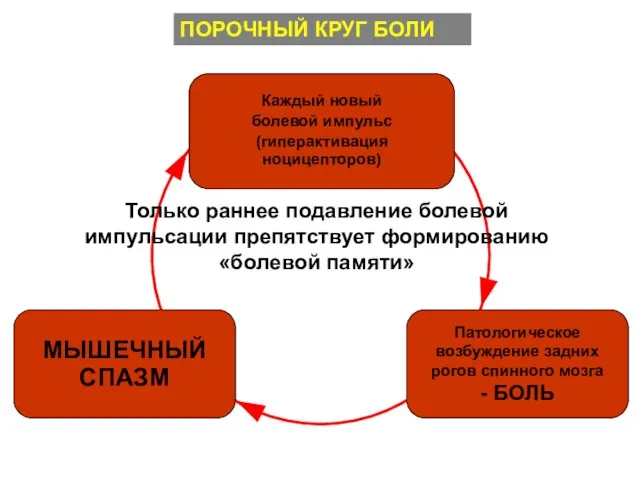 ПОРОЧНЫЙ КРУГ БОЛИ Патологическое возбуждение задних рогов спинного мозга - БОЛЬ МЫШЕЧНЫЙ