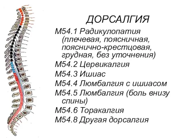 ДОРСАЛГИЯ М54.1 Радикулопатия (плечевая, поясничная, пояснично-крестцовая, грудная, без уточнения) М54.2 Цервикалгия М54.3