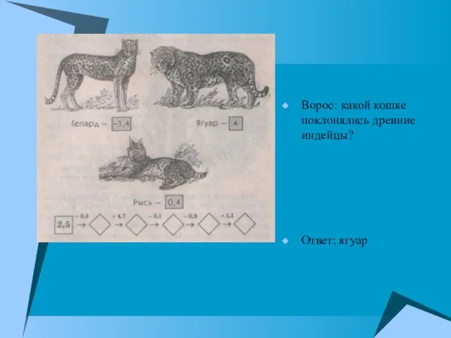 Ворос: какой кошке поклонялись древние индейцы? Ответ: ягуар