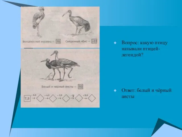 Вопрос: какую птицу называли птицей-легендой? Ответ: белый и чёрный аисты