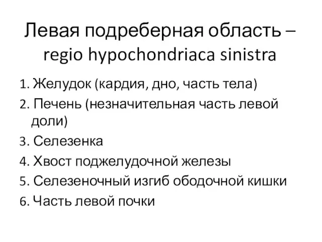 Левая подреберная область – regio hypochondriaca sinistra 1. Желудок (кардия, дно, часть