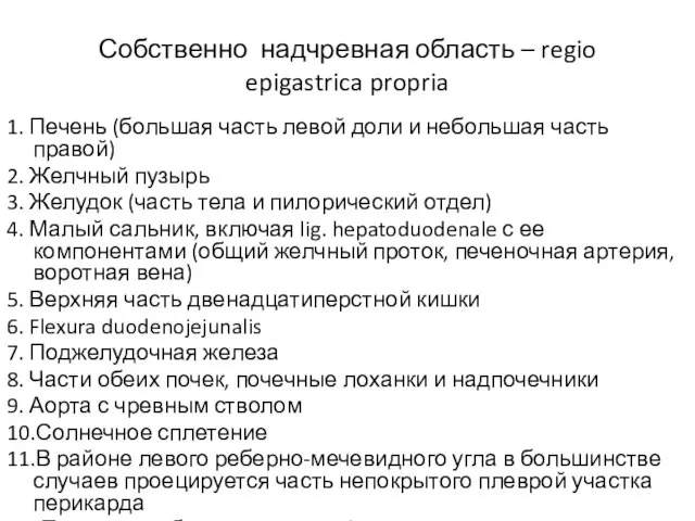 Собственно надчревная область – regio epigastrica propria 1. Печень (большая часть левой