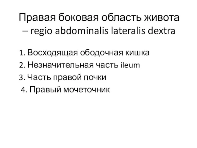 Правая боковая область живота – regio abdominalis lateralis dextra 1. Восходящая ободочная