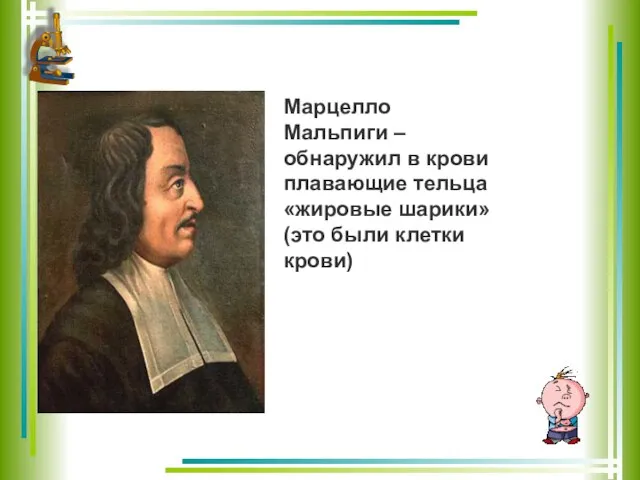 Марцелло Мальпиги – обнаружил в крови плавающие тельца «жировые шарики» (это были клетки крови)