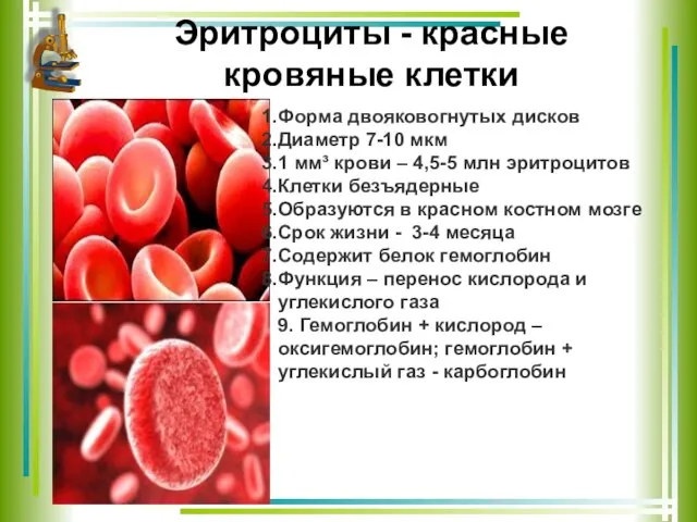 Эритроциты - красные кровяные клетки Форма двояковогнутых дисков Диаметр 7-10 мкм 1