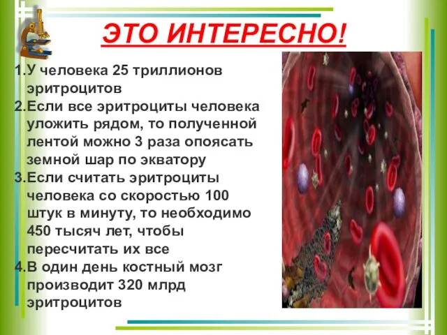 ЭТО ИНТЕРЕСНО! У человека 25 триллионов эритроцитов Если все эритроциты человека уложить