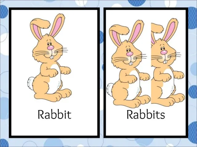 Rabbits Rabbit