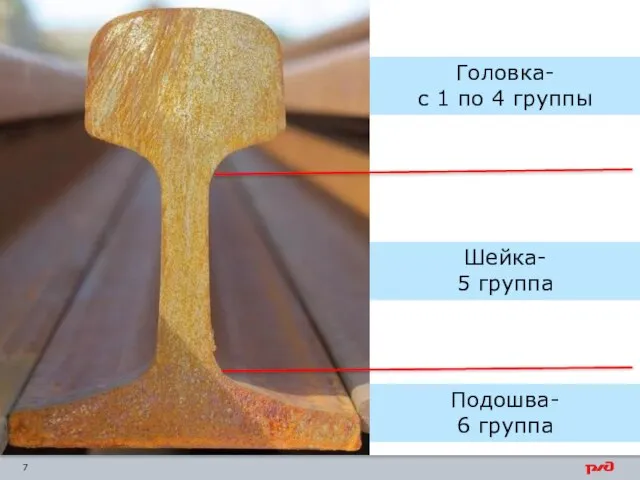 Головка- с 1 по 4 группы Шейка- 5 группа Подошва- 6 группа