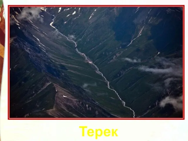 Терек