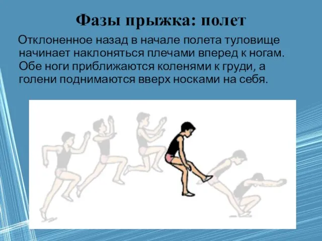 Фазы прыжка: полет Отклоненное назад в начале полета туловище начинает наклоняться плечами